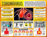 Плакат "Коронавирус" (вариант 2) - fgospostavki.ru - Казань
