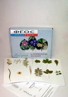 Гербарий "Морфология растений" (5 тем х 3 листа) - fgospostavki.ru - Казань