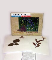 Гербарий "Дикорастущие растения" (28 видов) - fgospostavki.ru - Казань