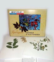 Гербарий "Деревья и кустарники" (20 видов) - fgospostavki.ru - Казань