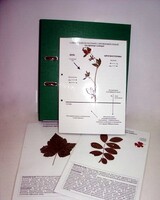 Гербарий к курсу основ общей биологии (20 листов, ламинированный) - fgospostavki.ru - Казань