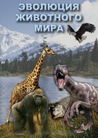 DVD "Эволюция животного мира" - fgospostavki.ru - Казань