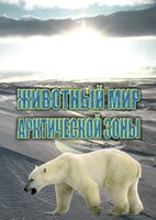 DVD "Животный мир Арктической зоны" - fgospostavki.ru - Казань
