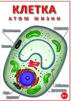 DVD "Клетка - "атом жизни" - fgospostavki.ru - Казань