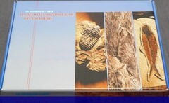 Коллекция "Палеонтологическая" (16 образцов) - fgospostavki.ru - Казань