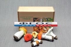 Набор муляжей грибов - fgospostavki.ru - Казань