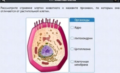 Интерактивные курсы. Биология 8 класс. Базовый - fgospostavki.ru - Казань