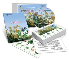 Комбинированное наглядное пособие «Растения» - fgospostavki.ru - Казань