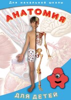 DVD "Анатомия для детей" - fgospostavki.ru - Казань