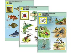 Комплект таблиц "Окружающий мир. Животный мир" (8 таблиц, А1, ламинированные) - fgospostavki.ru - Казань
