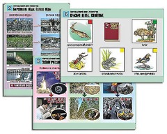 Комплект таблиц "Окружающий мир. Экология" (6 таблиц, А1, ламинированные) - fgospostavki.ru - Казань