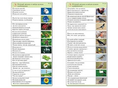 Комплект карточек (10) "Обучающий калейдоскоп. Природа" - fgospostavki.ru - Казань