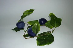 Ветка муляжей "Слива" - fgospostavki.ru - Казань