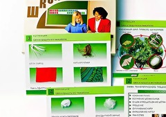 Коллекция "Шелк и продукты его переработки" (средняя школа) - fgospostavki.ru - Казань