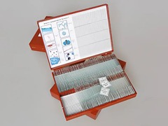 Комплект микропрепаратов "Ботаника 1" - fgospostavki.ru - Казань