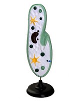 Модель инфузории-туфельки - fgospostavki.ru - Казань