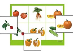 Логопедическое лото "Овощи" (4 планшета, 24 карточки, цветное, ламинированное) - fgospostavki.ru - Казань