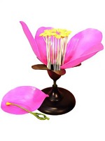 Модель цветка яблони - fgospostavki.ru - Казань