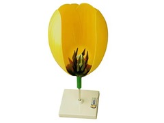 Модель цветка тюльпана - fgospostavki.ru - Казань