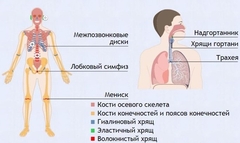 Интерактивные курсы. Биология 9 класс. Базовый. - fgospostavki.ru - Казань