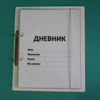 Дневник школьника (с полным набором карточек) - fgospostavki.ru - Казань