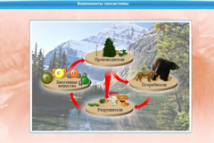 Интерактивные курсы. Биология 7 класс. Базовый. - fgospostavki.ru - Казань