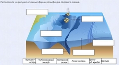 Интерактивные курсы. География 7 класс . Базовый. - fgospostavki.ru - Казань