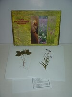 Гербарий "Лекарственные растения" (20 видов) - fgospostavki.ru - Казань