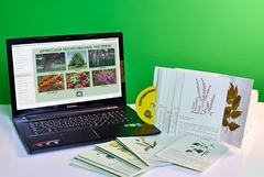 Гербарий натурально-интерактивный "Лекарственные растения" - fgospostavki.ru - Казань