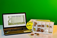 Коллекция натурально-интерактивная "Палеонтологическая" - fgospostavki.ru - Казань