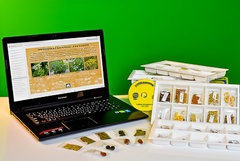 Коллекция натурально-интерактивная "Плоды сельскохозяйственных растений" - fgospostavki.ru - Казань