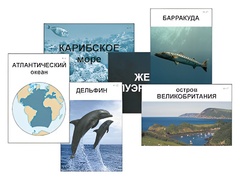 Модель-аппликация "Океаны. Знакомство" (ламинированная) - fgospostavki.ru - Казань