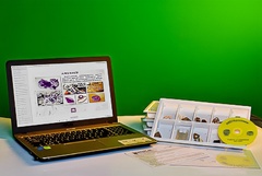 Коллекция натурально-интерактивная "Кварц в природе" - fgospostavki.ru - Казань