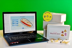 Коллекция натурально-интерактивная "Морское дно" - fgospostavki.ru - Казань