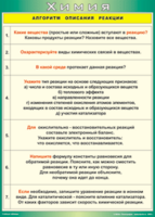Таблица "Алгоритм описания реакции" (100х140 сантиметров, винил) - fgospostavki.ru - Казань