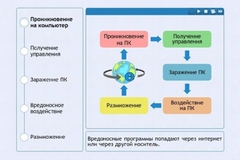 Интерактивные курсы. Информатика 10 класс . Базовый. - fgospostavki.ru - Казань