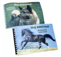 Пособие для слабовидящих - Домашние животные - fgospostavki.ru - Казань