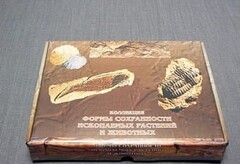 Коллекция "Формы сохранности ископаемых растений и животных" - fgospostavki.ru - Казань