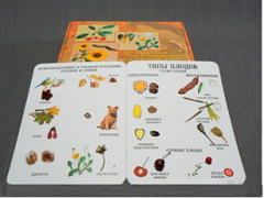 Коллекция "Семена и плоды" - fgospostavki.ru - Казань