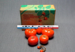 Набор муляжей "Дикая форма и культурные сорта томатов" - fgospostavki.ru - Казань