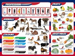 Стенд "Цвета, животные, профессии, фрукты, овощи" - fgospostavki.ru - Казань