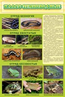 Стенд "Класс земноводные" - fgospostavki.ru - Казань