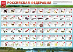 Стенд "Красная книга РФ" - fgospostavki.ru - Казань