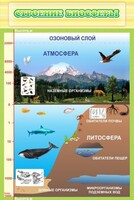Стенд "Строение биосферы" - fgospostavki.ru - Казань