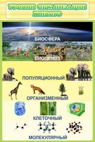 Стенд "Уровни организации живого" - fgospostavki.ru - Казань