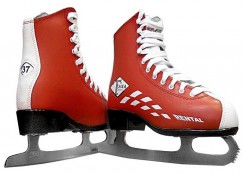 Зимний инвентарь - fgospostavki.ru - Казань