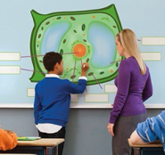 Интерактивное оборудование - fgospostavki.ru - Казань