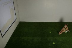 Интерактивная светозвуковая система “Лайт Бим” - fgospostavki.ru - Казань