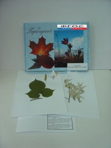 Гербарий "Медоносные растения" (24 вида) - fgospostavki.ru - Казань