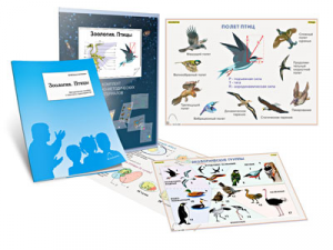 Комплект кодотранспарантов "Зоология. Птицы" - fgospostavki.ru - Казань